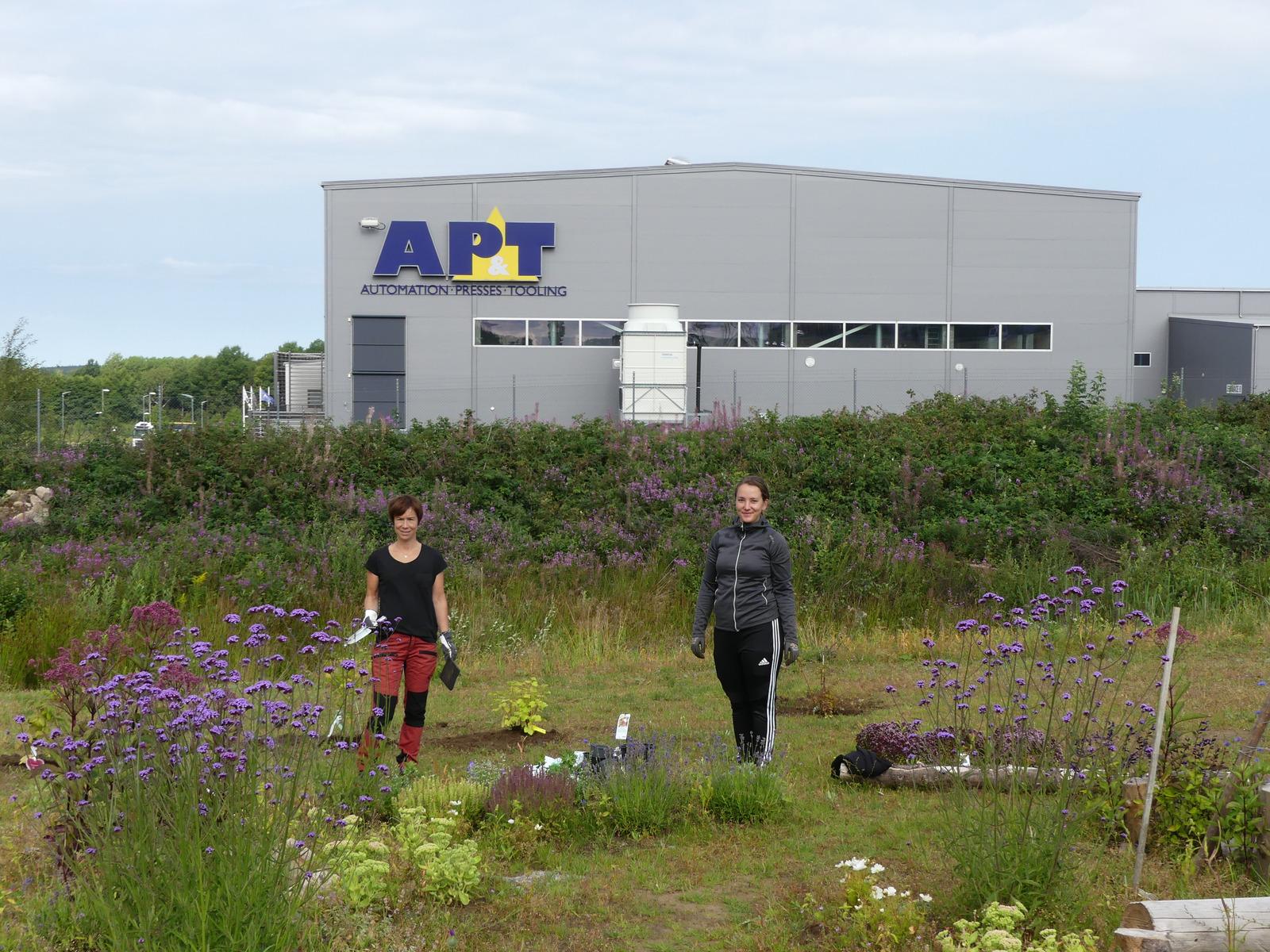 Cultivating the bee garden. Maria Rapp, Quality and Environmental Coordinator at AP&T and Emma Hagman, Sustainability Coordinator at Götessons make the Rönnåsen bee garden burst with flowers. 